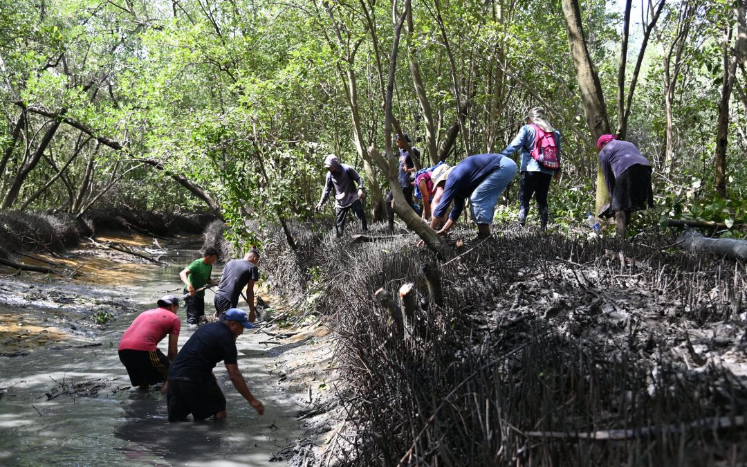 Avances en programa de restauración de lagunas de invierno Honduras