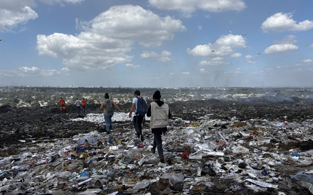 Avanzando en la agroecología en Maputo: trabajo colectivo por la justicia ambiental y de género