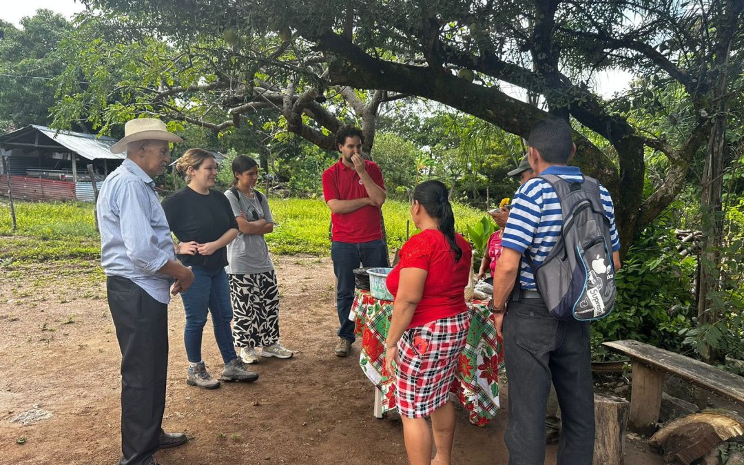 Aprendendo da Cooperación no Sur de Honduras